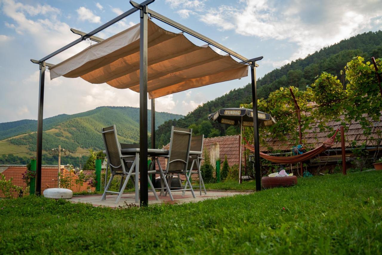 Apartament Panoramic La Casa In Comuna Răşinari Exterior foto